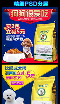 寵物用品淘寶店招設(shè)計(jì)模板——打造吸睛寵物食品店鋪
